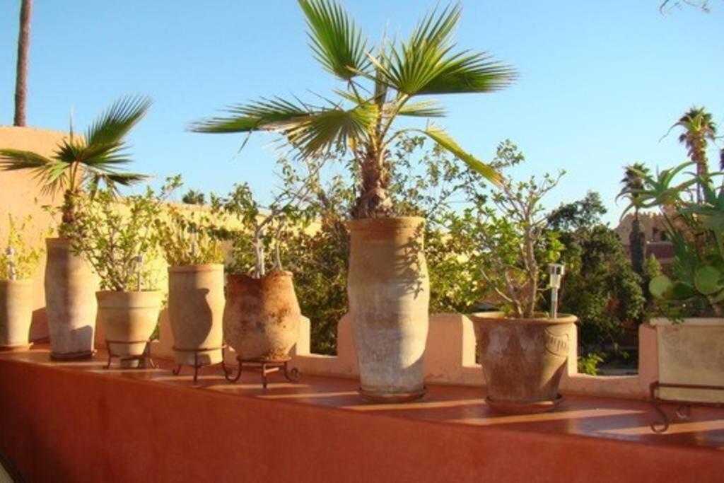 Emplacement N°1 ! Riad Ica Vila Marraquexe Exterior foto